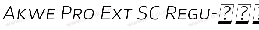 Akwe Pro Ext SC Regu字体转换